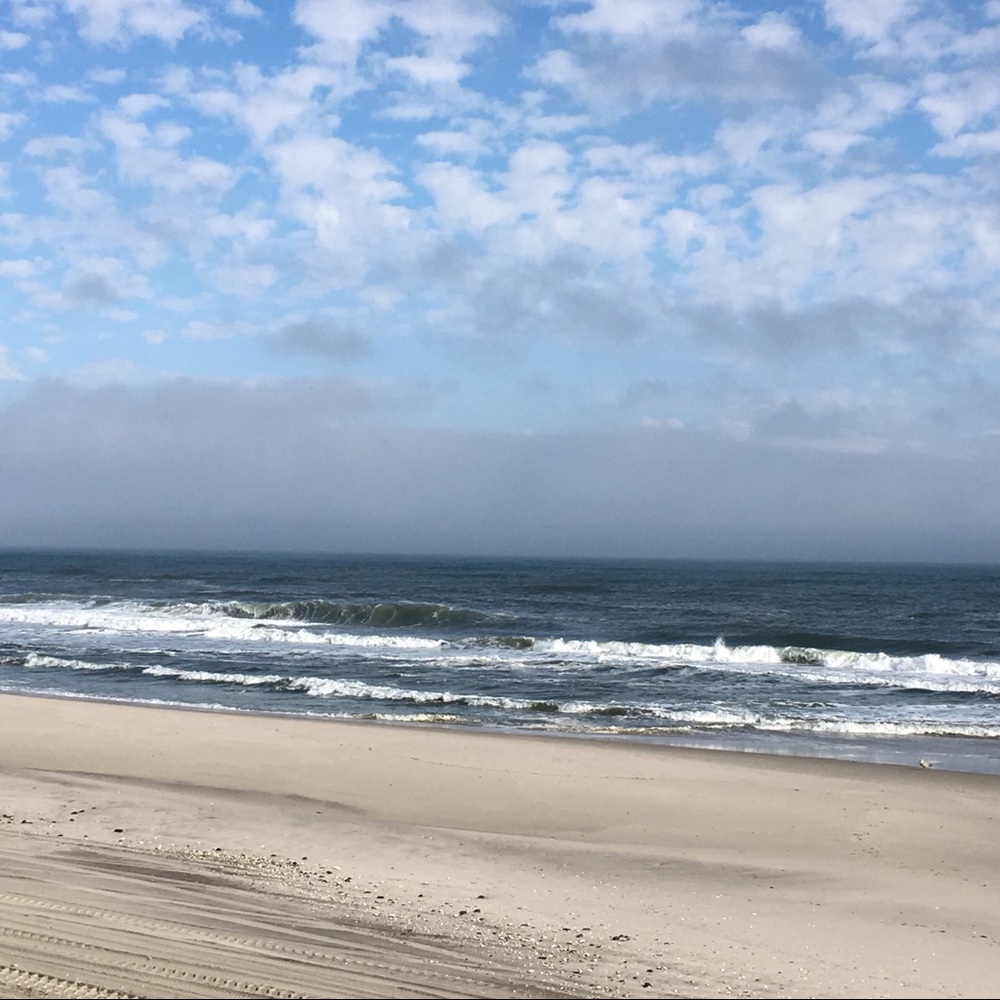 Meet your Posher, Michele